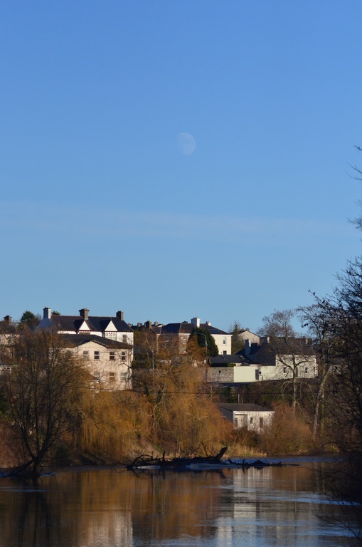 2014-01 Kilkenny/DSC_0010.JPG